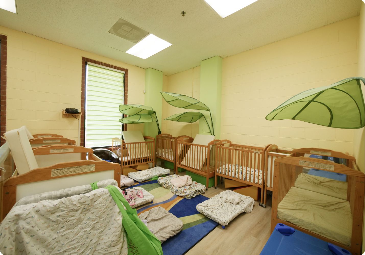 Infant – Walnut Montessori Academy