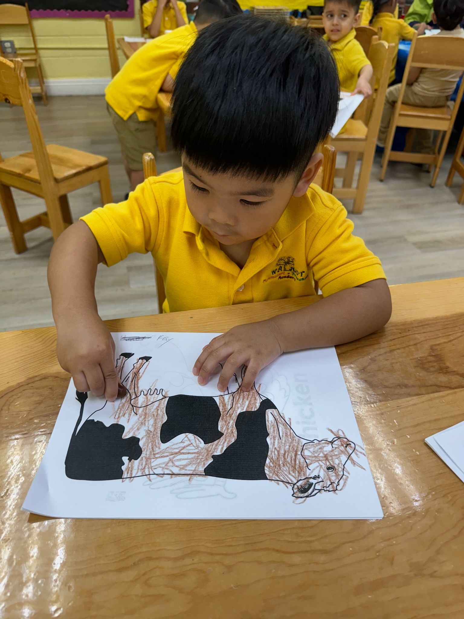 Advanced Primary – Walnut Montessori Academy